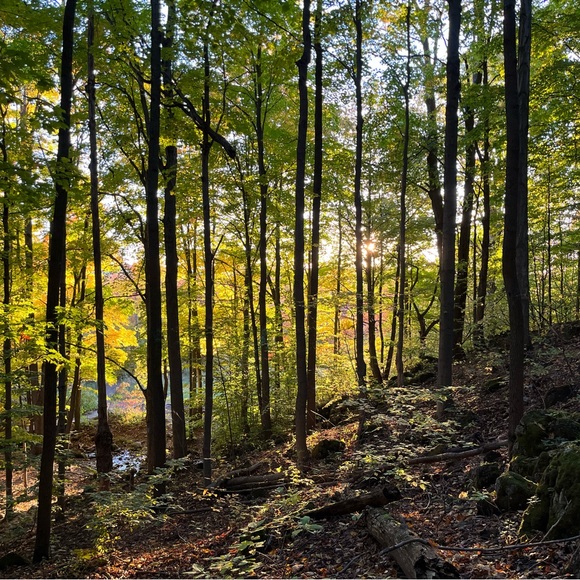 Meet your Posher, Gill - Picture 1 of 1